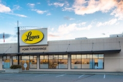 CGI-LEONS-2-495x400