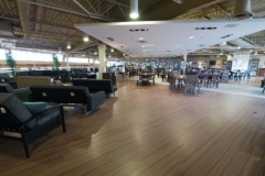 CGI-LEONS-22-495x400